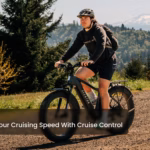 Aventure 3 Step-Through Ebike thumbnail 4