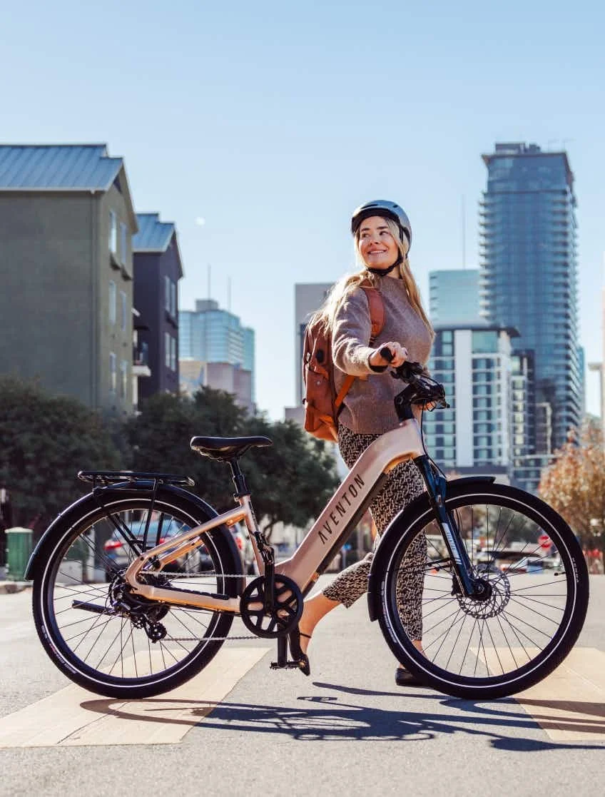 Level 3 Step-Through Ebike